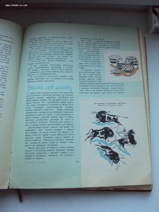 КНИГА ПИТАНИЕ ШКОЛЬНИКА 1959 г  РАРИТЕТ