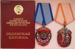 ТКЗ № 720633 и Почёт № 1040051 с документом