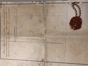 Послужной список Старшего врача 20 Галицкого полка 1906г.