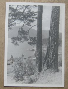 Демуцкий Д.П. Оператор Земля,Арсенал 12 фото 1937