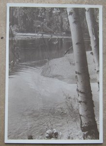 Демуцкий Д.П. Оператор Земля,Арсенал 12 фото 1937