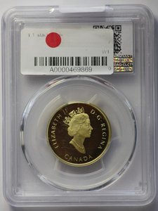 100 долларов 2002 г. золото в слабе PCGS грейд PR69 вес 7.78