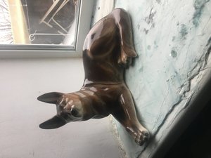 Собака