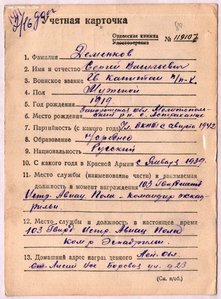 ГСС Летчик-истребитель.