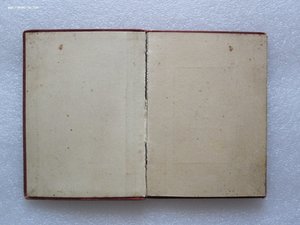 ГСС Летчик-истребитель.