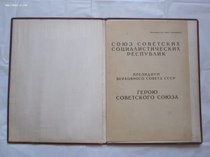 ГСС Летчик-истребитель.