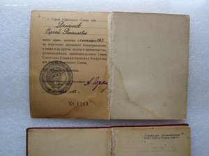 ГСС Летчик-истребитель.