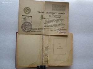 ГСС Летчик-истребитель.