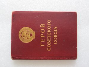 ГСС Летчик-истребитель.