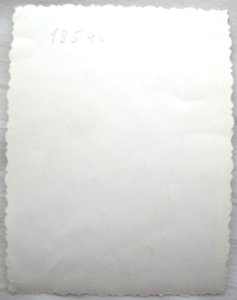 Гражданский летчик.