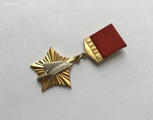 Знак ЦК ВЛКСМ « За активную работу в студенческих отрядах».