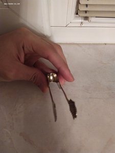 Серебряные щипцы для сахара, 875 проба