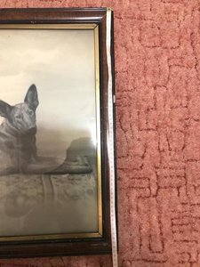 Художник Sztuka