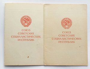 Двойное награждение медалью "За оборону Киева"