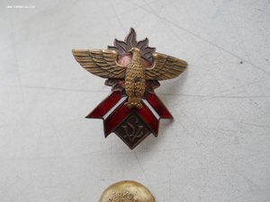 Знак Двинские соколы, Буржуазная Латвия, 1921-1939. Бронза.