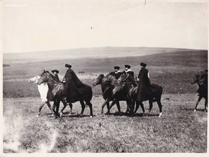 Советская кавалерия. 1920-1940-е годы. ТЕМА пополняема.