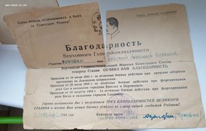 Благодарность на героя СССР