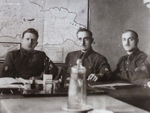 7 фотографий