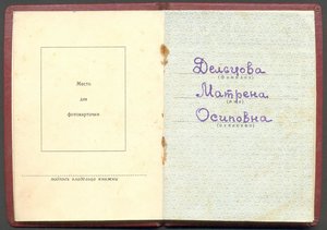 ЗП "плоский" № 139676 с доком, ЛЮКС!