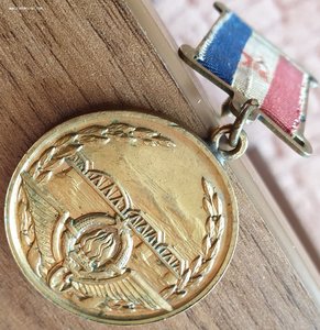 За строительство моста через Дунай с доком на мичмана Дун фл