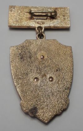 знак "Кремлевский полк"