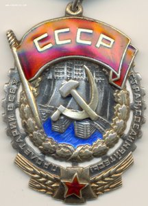 ТКЗ № 38.406 шагреневый реверс!