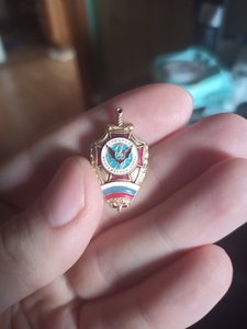 Ищем знаки спецназа и разведки ВВ МВД СССР и РФ