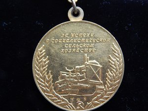 Большая Золотая медаль ВСХВ(крест на радиаторе,№ 341)на доке