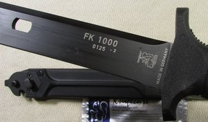 FK 1000, Айкхорн.