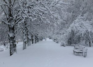 Где и как мы отдыхаем....