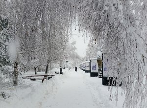 Где и как мы отдыхаем....