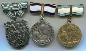 МС-3 ст. + Материнство 1, 2 ст. на доках