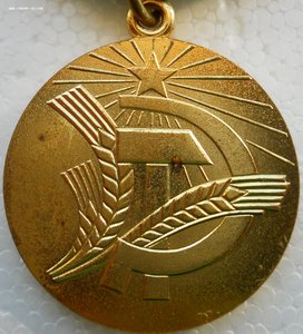 Медаль "За преобразование нечерноземья РСФСР"