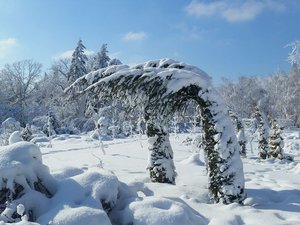 Где и как мы отдыхаем....