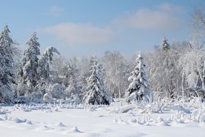 Где и как мы отдыхаем....