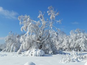 Где и как мы отдыхаем....