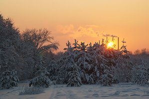 Где и как мы отдыхаем....