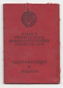 ТД-плоское ухо + БЗ-485 тыс. + БЗ-ухо лопата +док