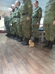 с Днем Советской армии и ВМФ!