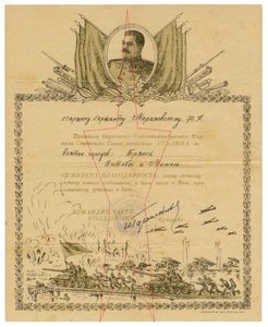 Благодарность за Белоруссию - золотое теснение