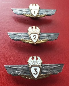 Польша, Знаки Классности Бронетанковых Воиск.