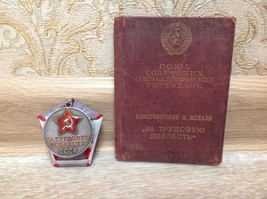 Трудовая Доблесть на спецдоке 24314