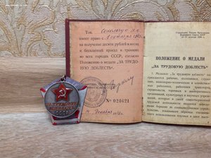 Трудовая Доблесть на спецдоке 24314