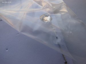 Бриллиант "1 карат" с экспертным заключением