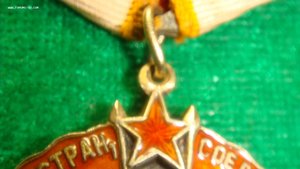 ЗП ранний№ 35003