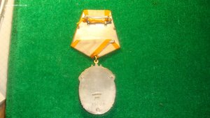 ЗП ранний№ 35003