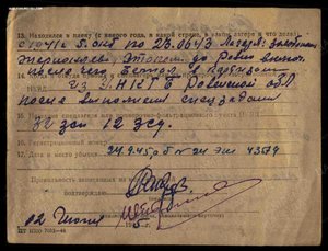 Комплект дубликатов на партизана.