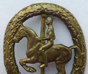 Квалификационный знак «наездник» в бронзе.