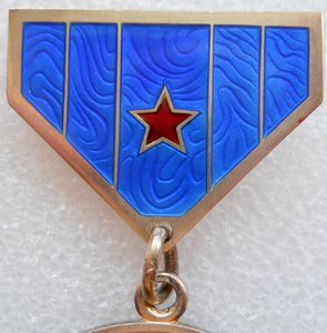 медаль Дружба (13365)