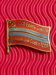 Депутат ВС ТССР №  82  созыв 10, инвалид